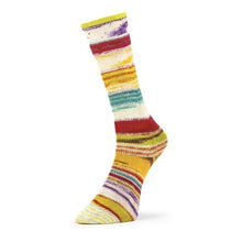 Estelle Evolution Chroma Sock (Matching Socks)