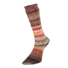 Estelle Evolution Celebration Sock