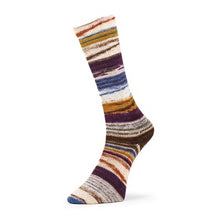 Estelle Evolution Chroma Sock (Matching Socks)