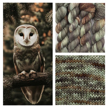 Arcane Fibre Works Fingering (Sock)