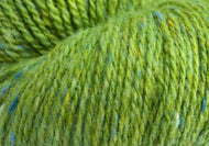 Studio Donegal Darnie