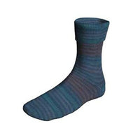 Lang Super Soxx Color 6-Ply