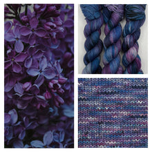 Arcane Fibre Works DK Sock