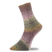 Pro Lana Golden Socks Alicante 21