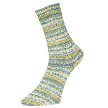 Pro Lana Bamboo Socks