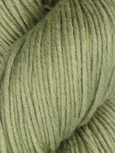 Araucania Alga Solid