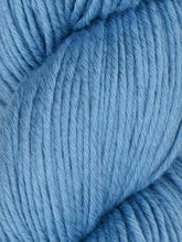 Araucania Alga Solid