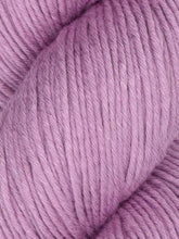 Araucania Alga Solid