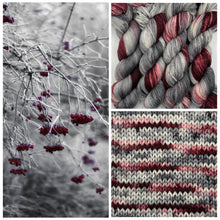 Arcane Fibre Works Fingering (Sock)